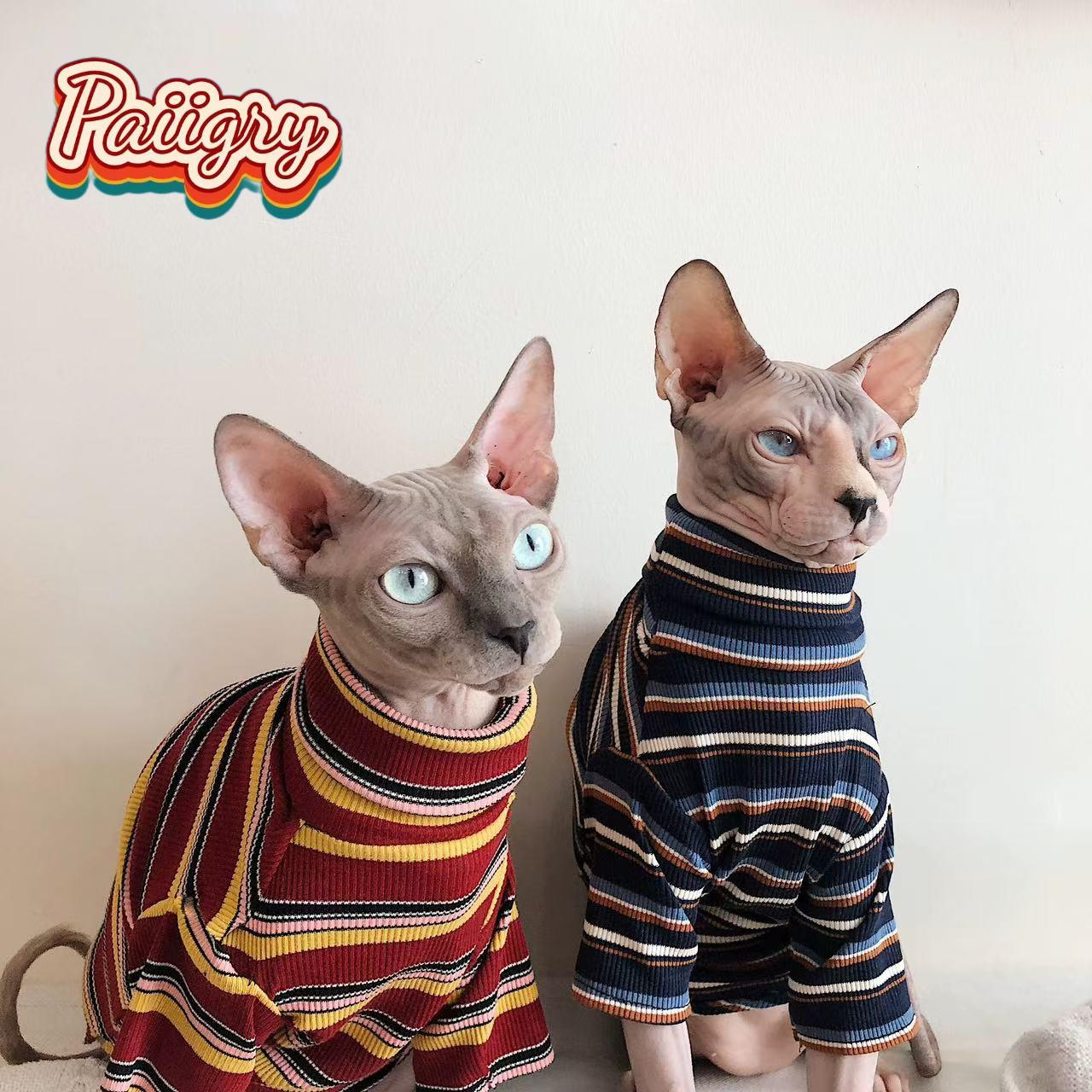 Camiseta Retro para Gatos de C - Summer Clothing Must Haves reseña y precio